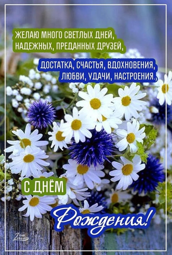 с днём рождения полевые цветы с поздравлениями