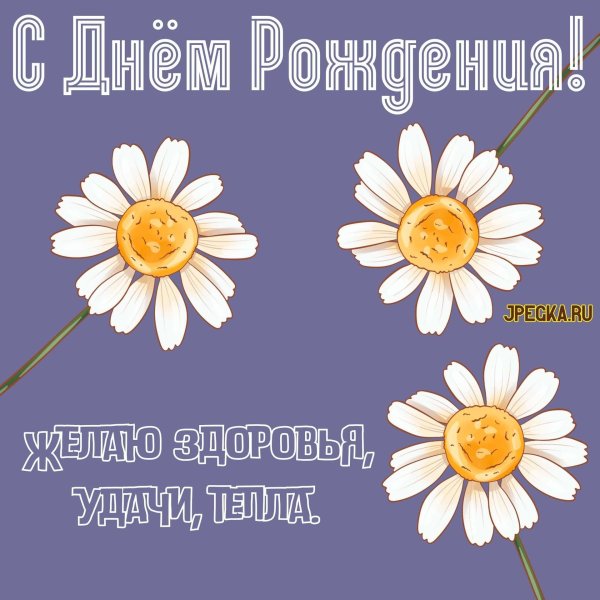 с днем ромашек