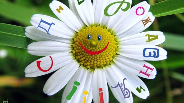 день гадания на ромашках 29 мая