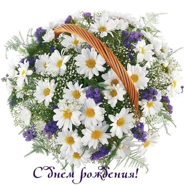 букет полевых цветов