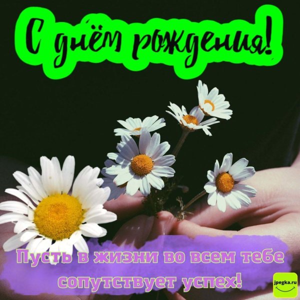 ромашки на день рождения