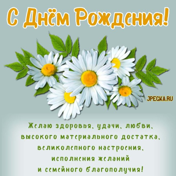 с днем рождения с ромашками