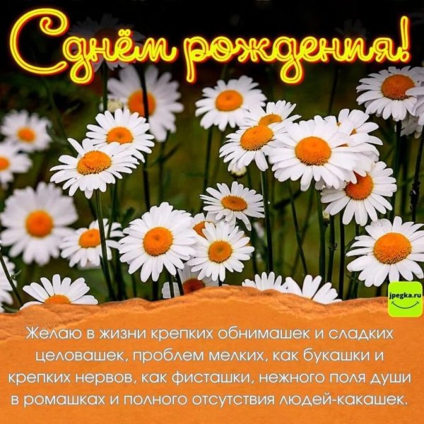 ромашки открытка с днем рождения