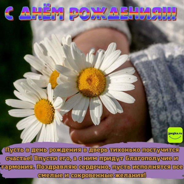 ромашка с днем рождения