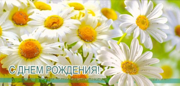 с днем рождения ромашки открытки