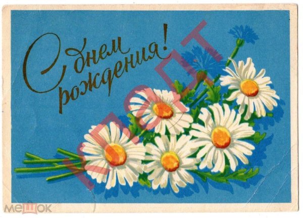 открытка с ромашками