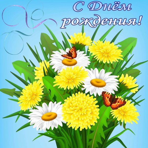 открытка с ромашками