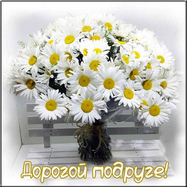 букет ромашек