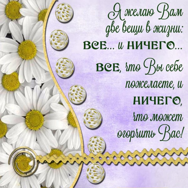 фон ромашки