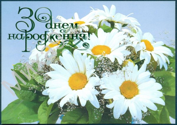 с ромашками