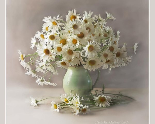 луиза гельтс фотонатюрморты