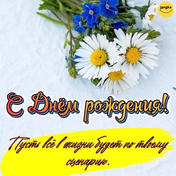 ромашки открытка с днем рождения