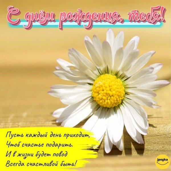 поздравление с днём рождения женщине ромашки