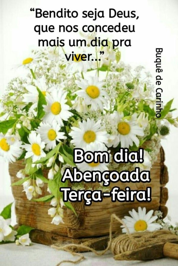 ромашки утро