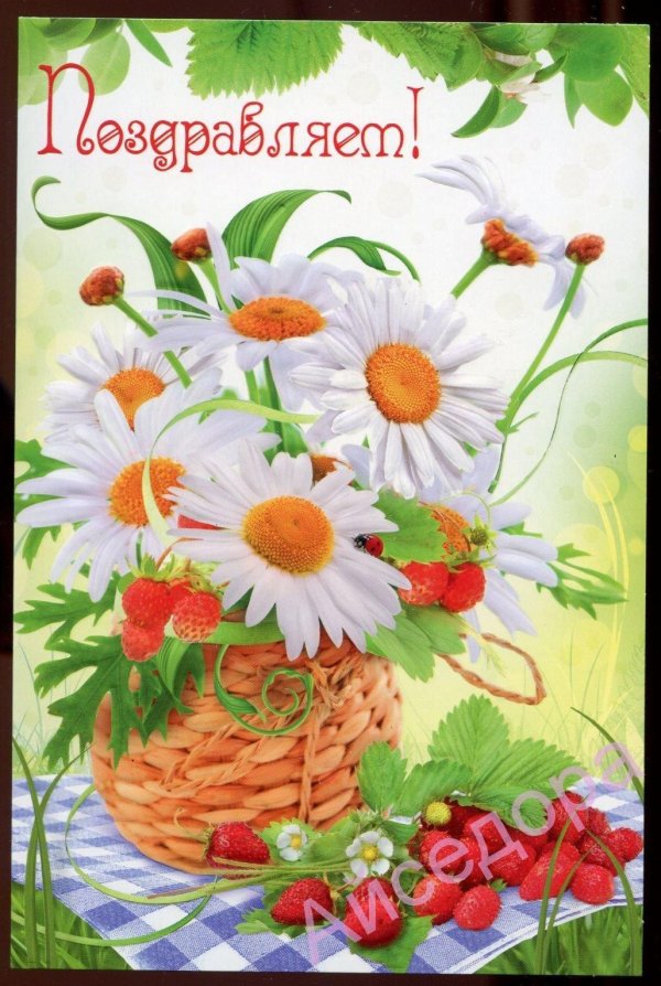 с днем рождения ромашки открытки