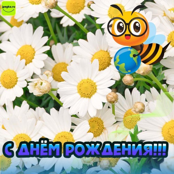 с днем рождения ромашка
