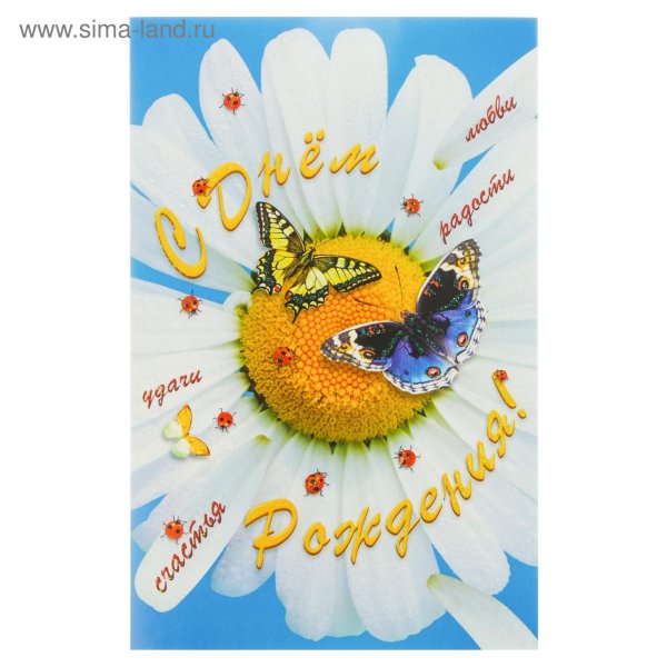 с днем рождения ромашки открытки