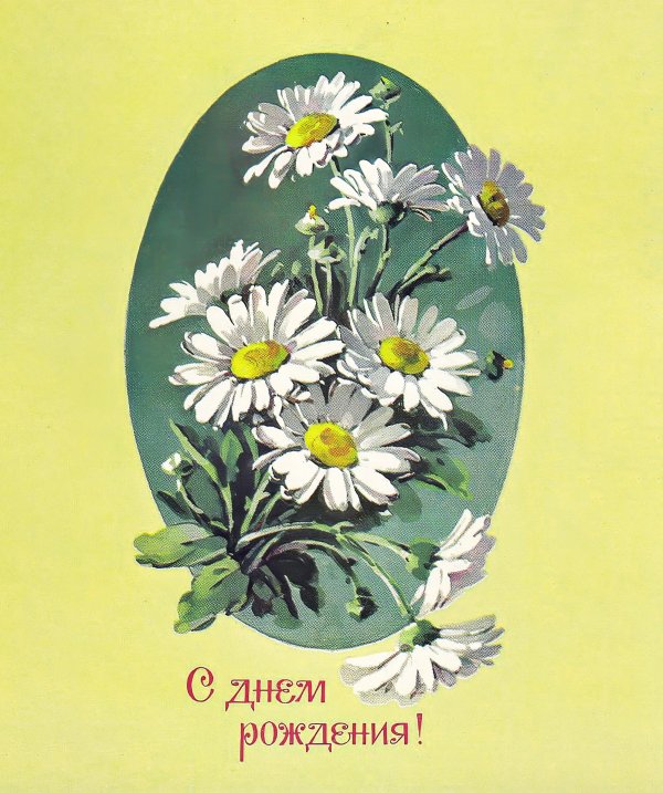 букет ромашек открытка