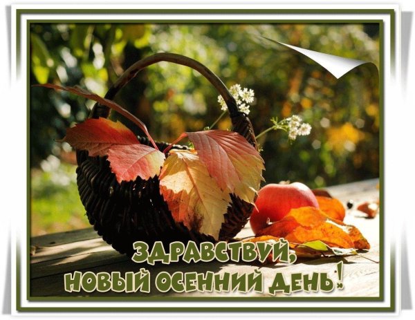 теплого осеннего четверга