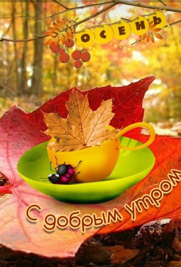доброго утра осеннего