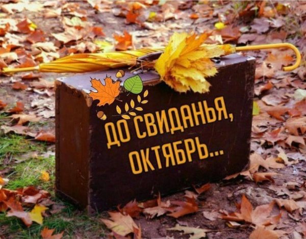 до свидания сентябрь