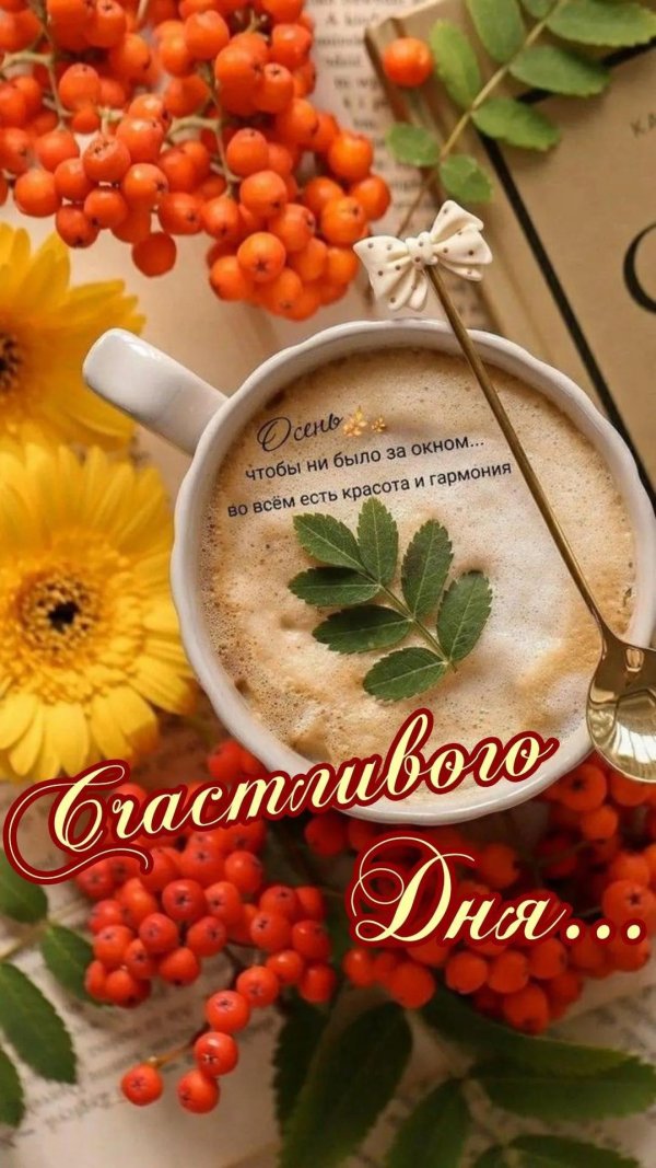 доброго сентябрьского утра