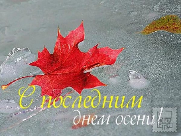 последний осенний лист