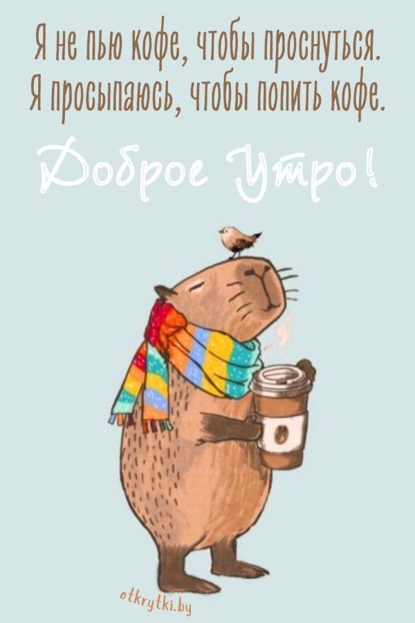 милые рисунки капибар