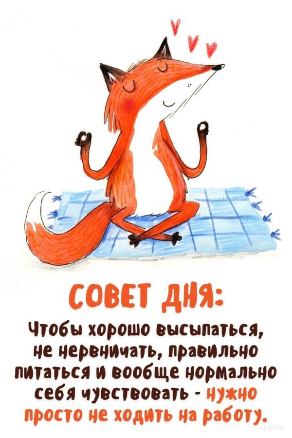 смешной лис