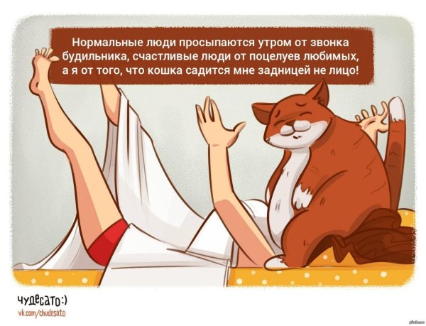 приколы про кастрированных котов