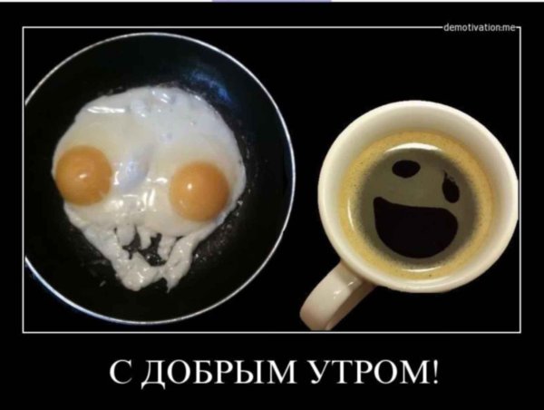 яичница прикол