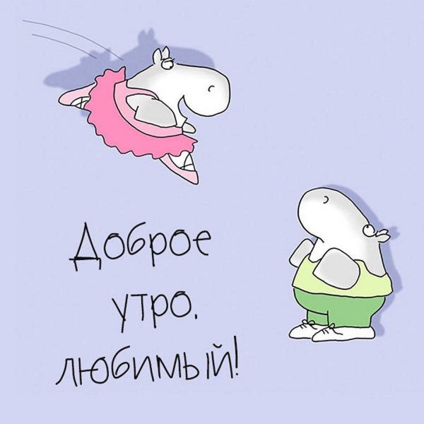 доброе утро любимая прикольные