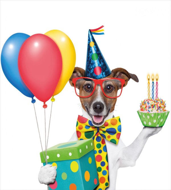 день рождение