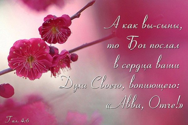 открытки со стихами из библии