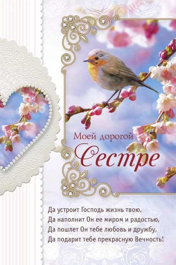 птицы весна