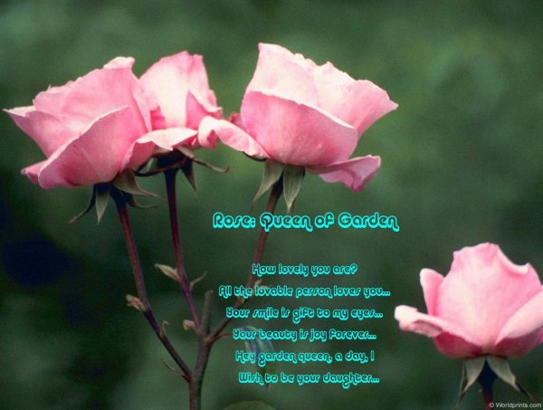 поздравляю с днём рождения