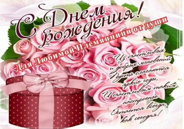с днём рождения 20 лет племяннице