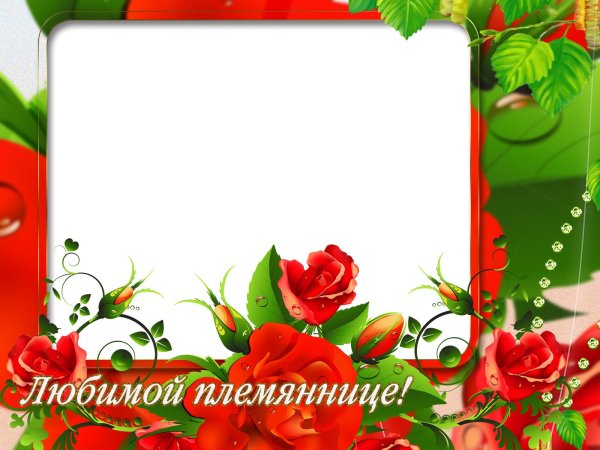 поздравление любимой племяннице