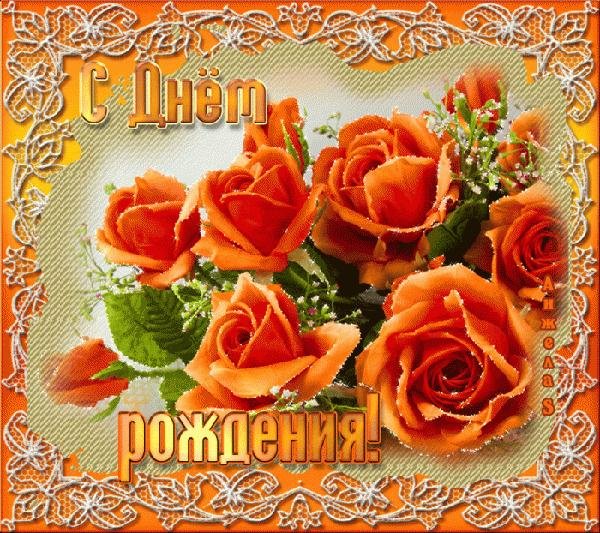 оранжевая роза