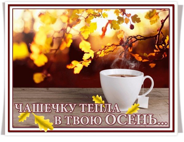 теплого осеннего утра