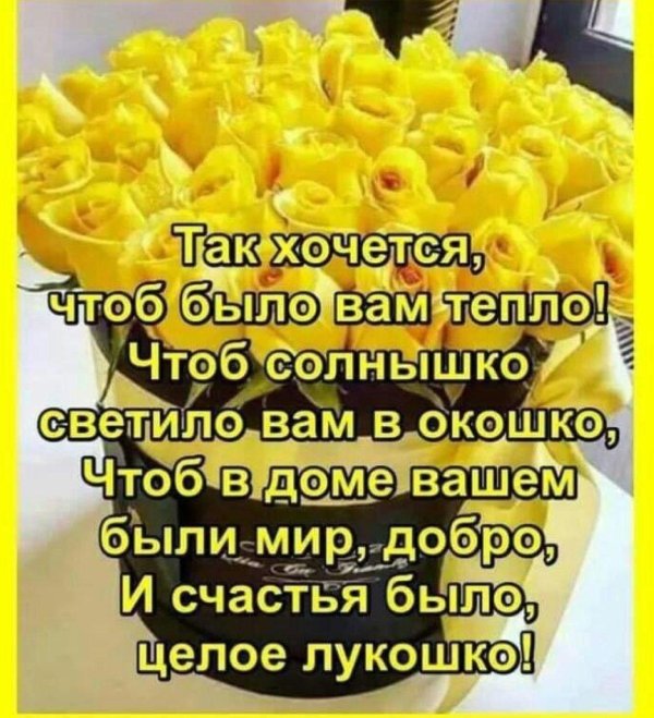 теплые пожелания