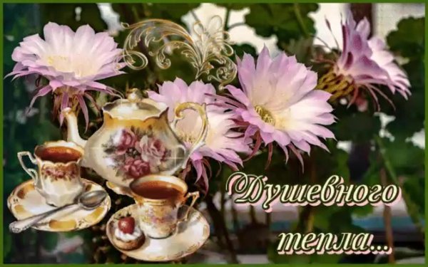 Доброе утро уюта и тепла вашему дому