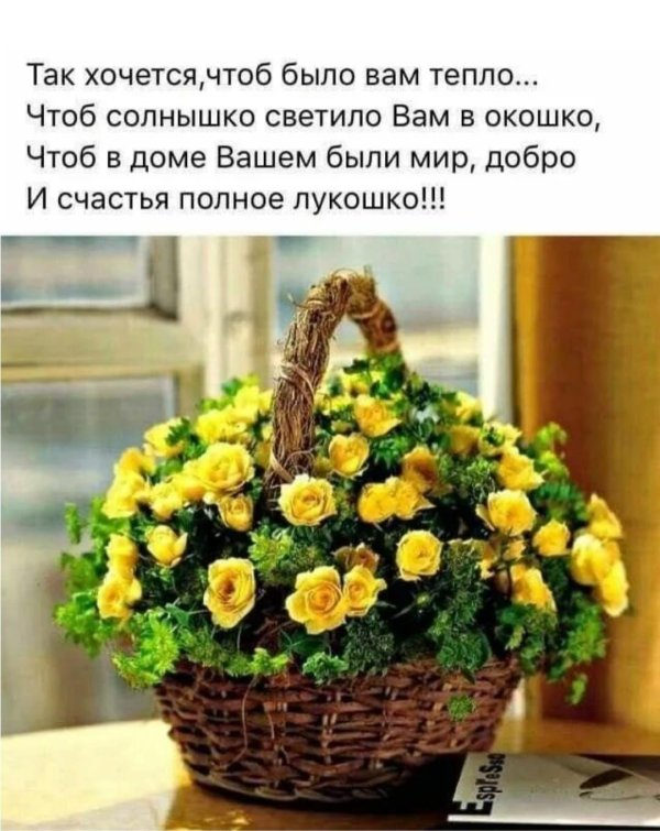 вот вам солнышко в лукошке если