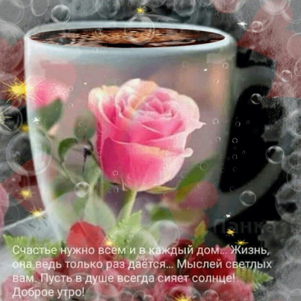 нежные поздравления с добрым утром