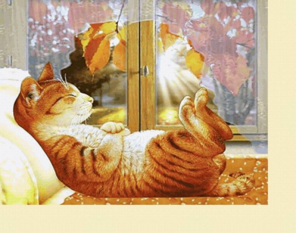 сказочных выходных