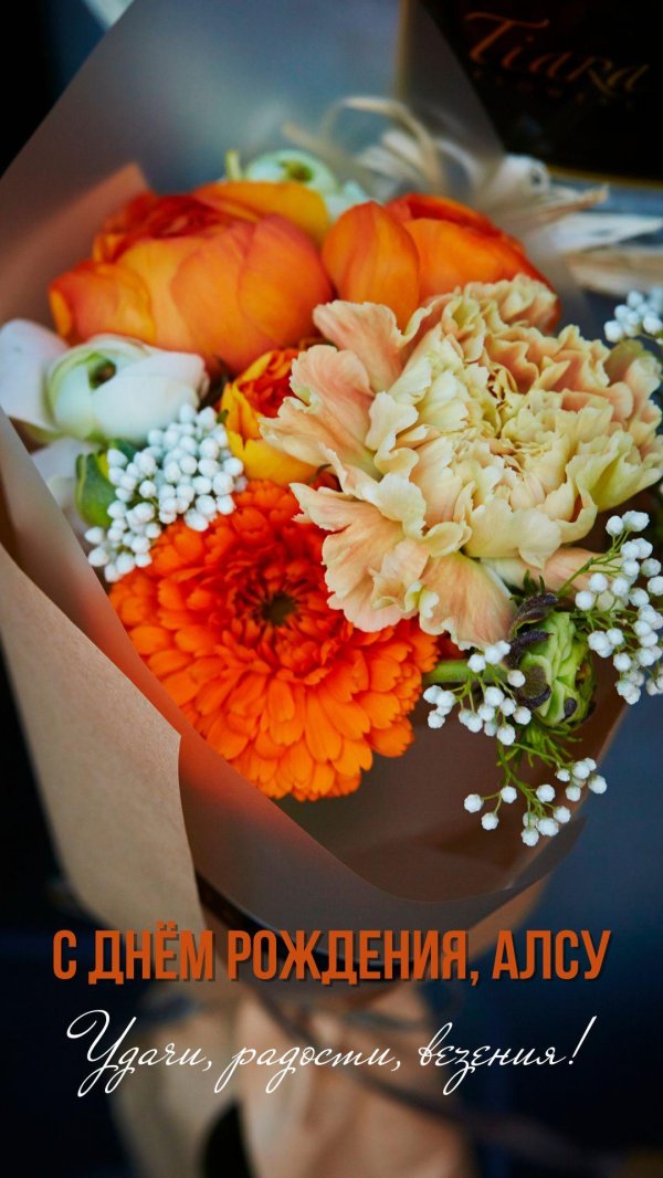 с днём рождения алсу открытки красивые