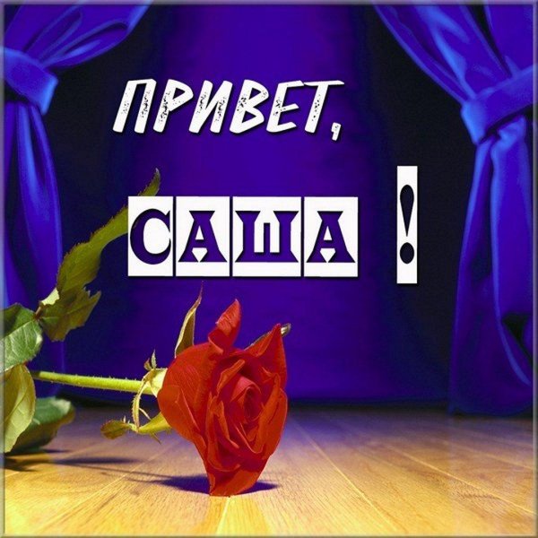 привет саша