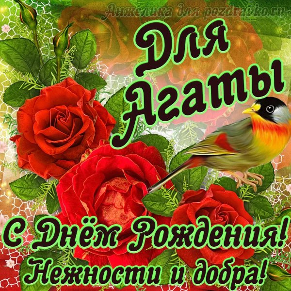 день рождение