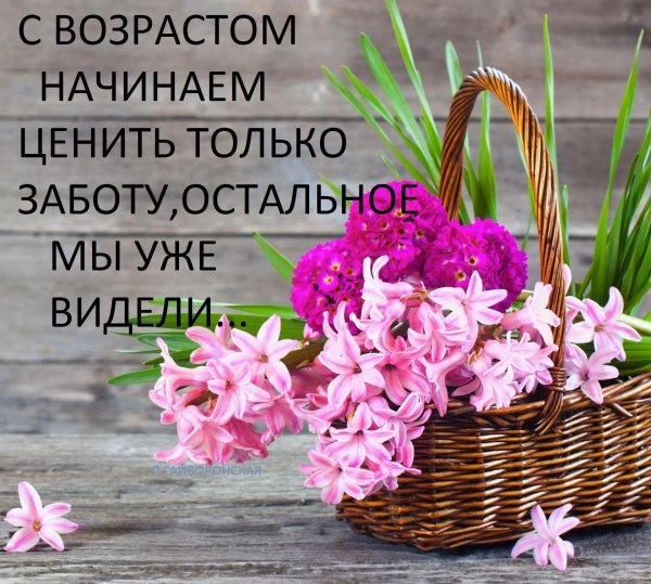 гиацинт букет