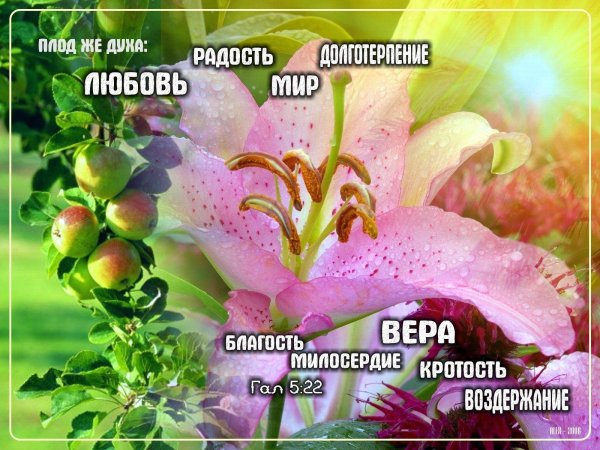 благость мира